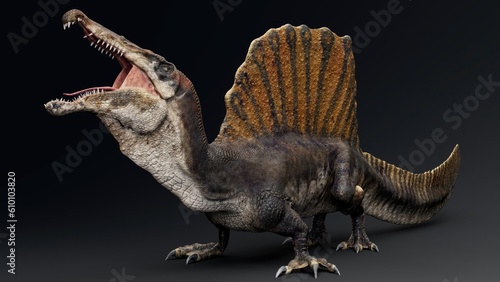 Spinosaurus  pose render of background. 3d rendering © racksuz