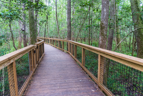 Congaree National Park  South Carolina  Boardwalk Loop  an elevated walkway through the old-growth bottomland hardwood forest and swampy environment that protects delicate fungi and plant life.