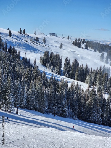 Scenic Winter Views