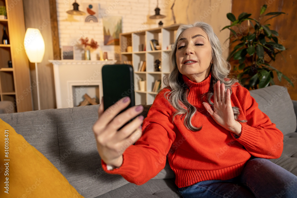 Obraz premium Beautiful senior woman having a video call and looking contented