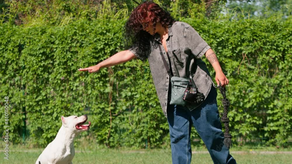 beautiful curly girl training a white pit bull dog with a rope in her ...