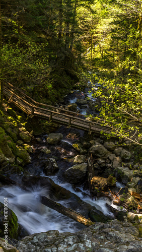 Hamilton Mountain Trail, Washington State