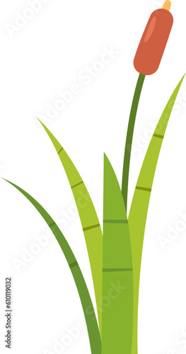 Reed Plant With Leaves