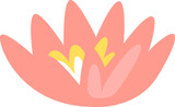 Lily Flower Bud