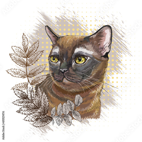 Burmese cat in leaves hand drawn vector illustration