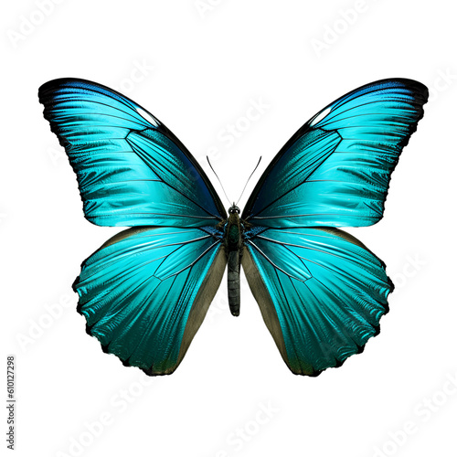Turquoise butterfly isolated on transparent white background, beautiful butterfly with turquoise blue wings flying over white background, top view, flat lay, view from above. generative ai © niloo