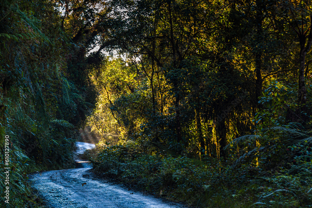 Camino de herradura en medio de las montañas