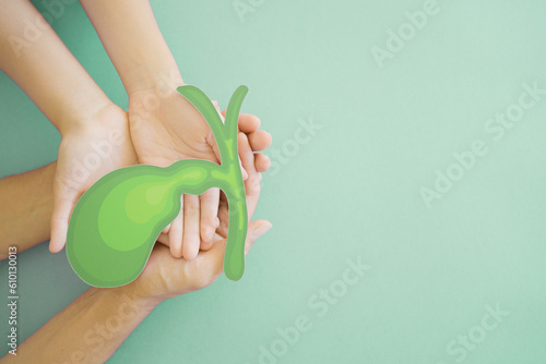 Hands holding bile duct paper cutout, bile duct obstruction, world Cholangiocarcinoma day concept