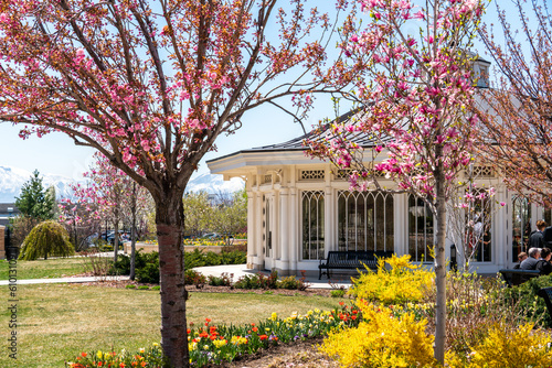 The provo city center temple 