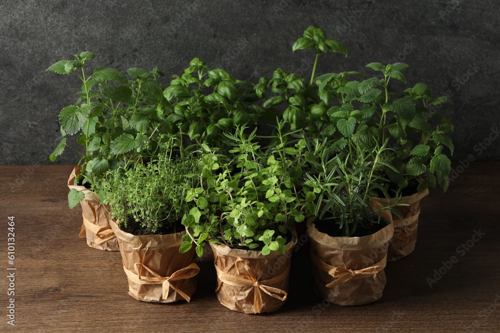 Different aromatic potted herbs on wooden table Different aromatic potted herbs on wooden table