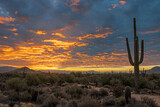 Sunrise Sky Along A Desert Hiking Trail In Scottsdale AZ
