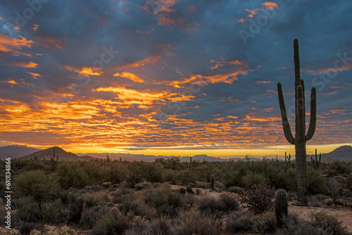 Sunrise Sky Along A Desert Hiking Trail In Scottsdale AZ