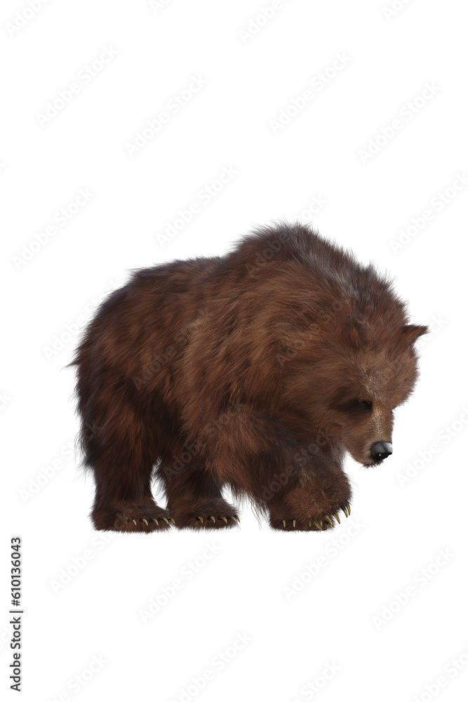 Brown Grizzly Bear Brown Grizzly Bear
