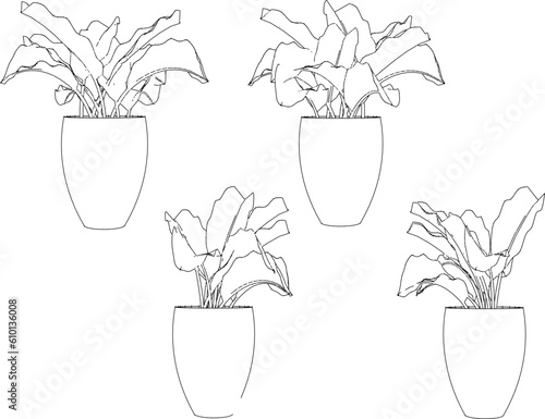 Vector illustration sketch of a plant in a decorative pot on the terrace of the house