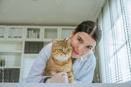 portrait of a beautiful asian female veterinarian with cat on diagnosis table at clinic