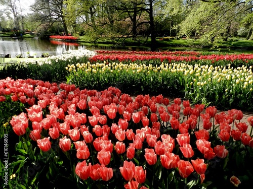 The Netherlands, Keukenhof Gardens, Tulips, Daffodils, and Water
