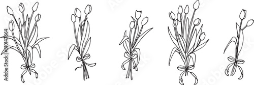 シンプルなチューリップのベクターイラスト。草木の線画イラストセット。植物のイラストセット。Simple tulip vector illustration. Line drawing illustration set of plants and trees. Illustration set of plants.