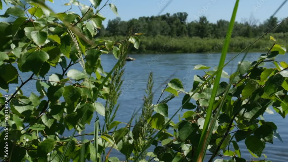 Hot sunny summer day by the river. Calming and relaxing. Light breeze wind in beautiful trees at sunny day. Hot sunny summer day by the river. Calming and relaxing. Light breeze wind in beautiful trees at sunny day.