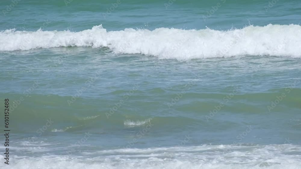 Summer vacation concept at the beach. Nature on the beach and the sea in summer with soft sunlight. Summer vacation concept at the beach. Nature on the beach and the sea in summer with soft sunlight.