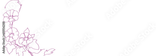 線画。夏の朝顔ベクターイラスト。アサガオのベクター背景素材。和風植物装飾イラスト。Line drawing. Summer morning glory vector illustration. Morning glory vector background. Japanese style plant decoration illustration.