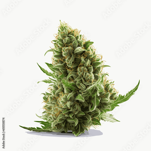 Vector Cannabis Marijuana Dispensary Bud Nug photo