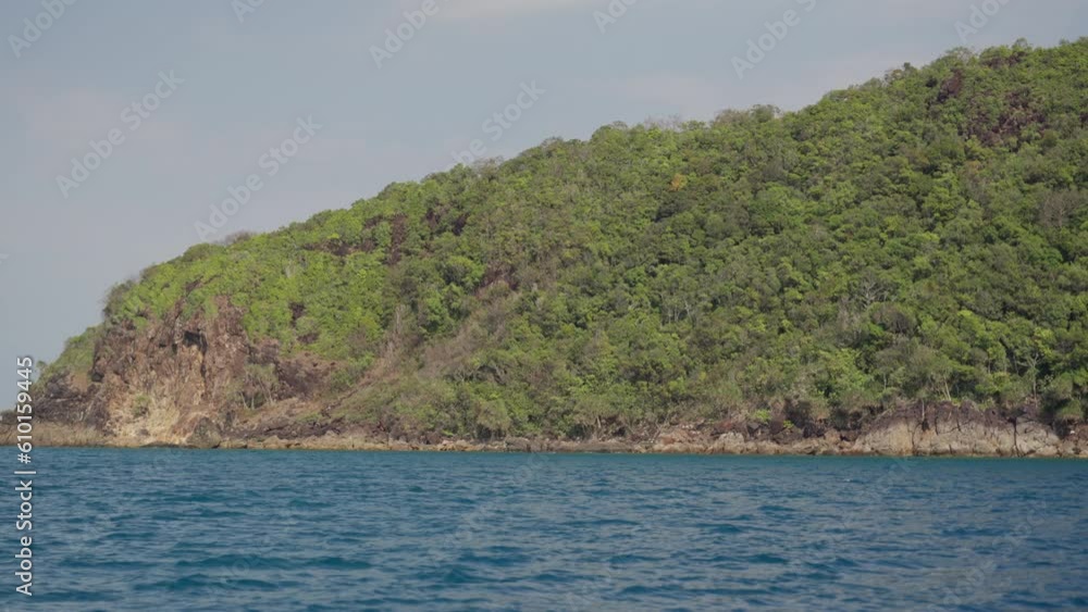 Island Full Of Trees During Daytime Island Full Of Trees During Daytime