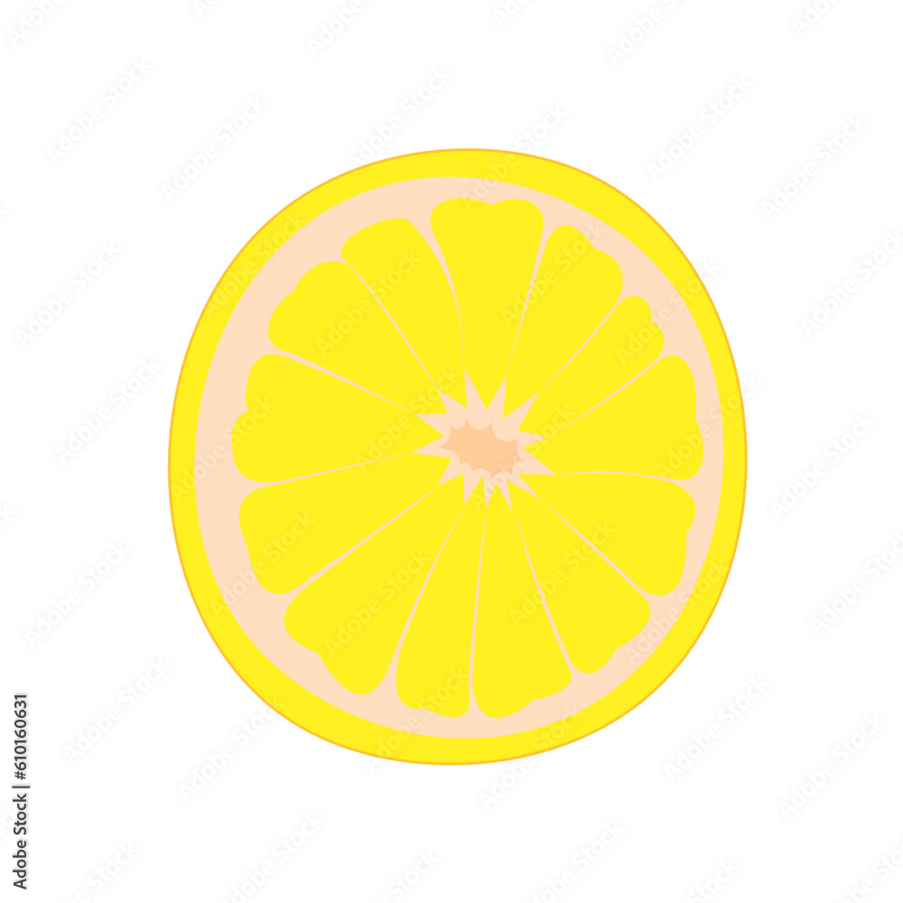 vector illustration of a lemon. Lines art tropical fruit vector illustration of a lemon. Lines art tropical fruit