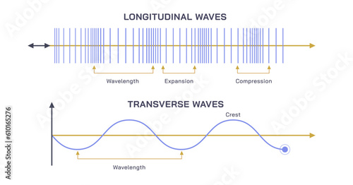 Types of sound waves vector illustration. Longitudinal waves, and transverse waves. Sound properties. Crest length and wave length. Compression and pitch detection. 