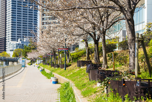 Konstfotografi ほたるまちの桜