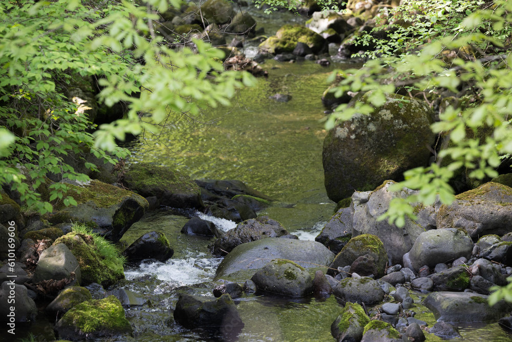 観光や旅行の背景として使いやすい、日本の川の上流 清流 観光や旅行の背景として使いやすい、日本の川の上流 清流