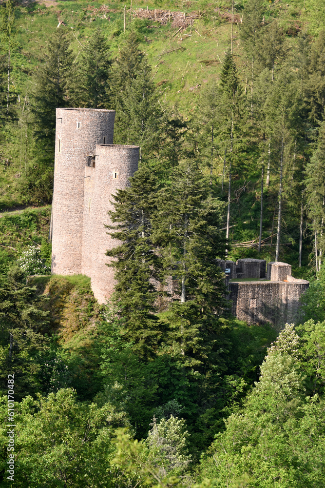 Burgruine Frauenburg