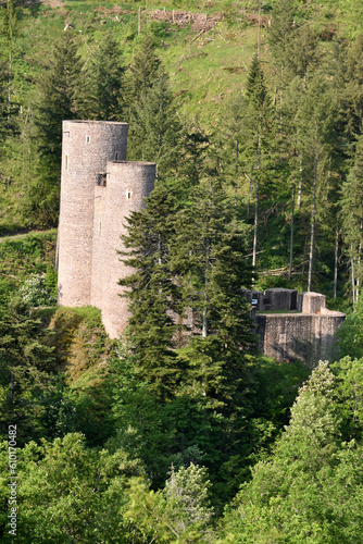 Obraz na płótnie Burgruine Frauenburg w salonie