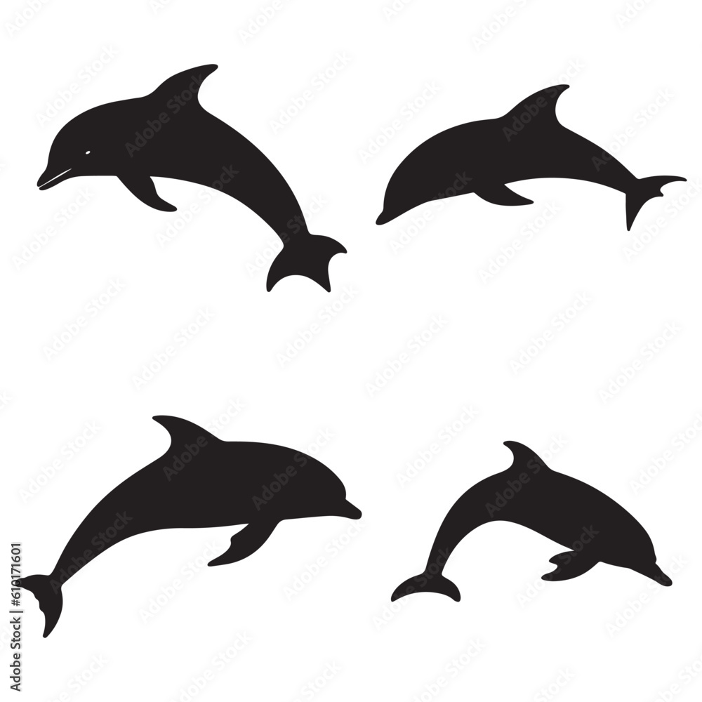 Fototapeta premium A silhouette of a dolphin