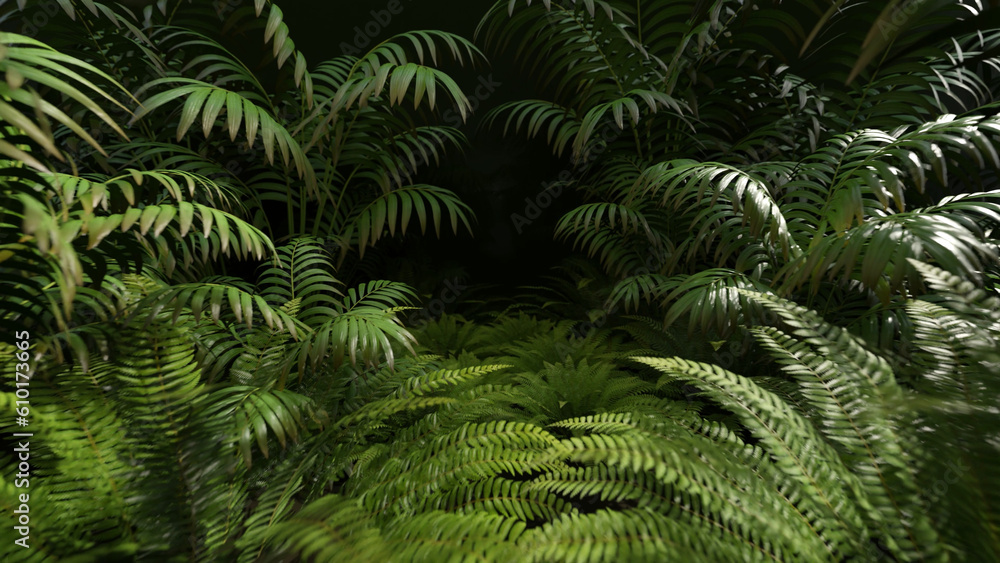 Tropical Forest Background