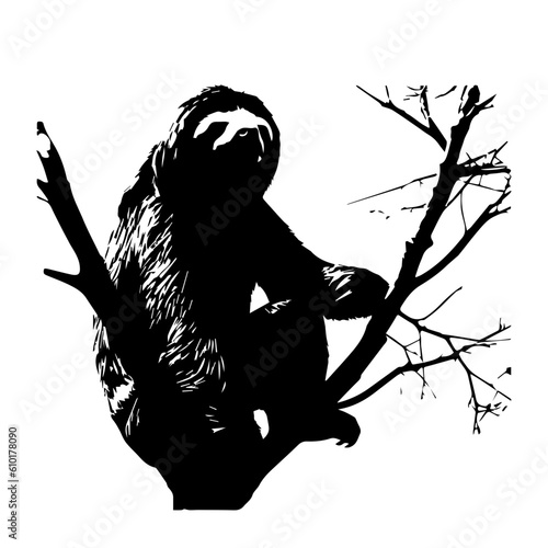 silhuette animal sloth images
