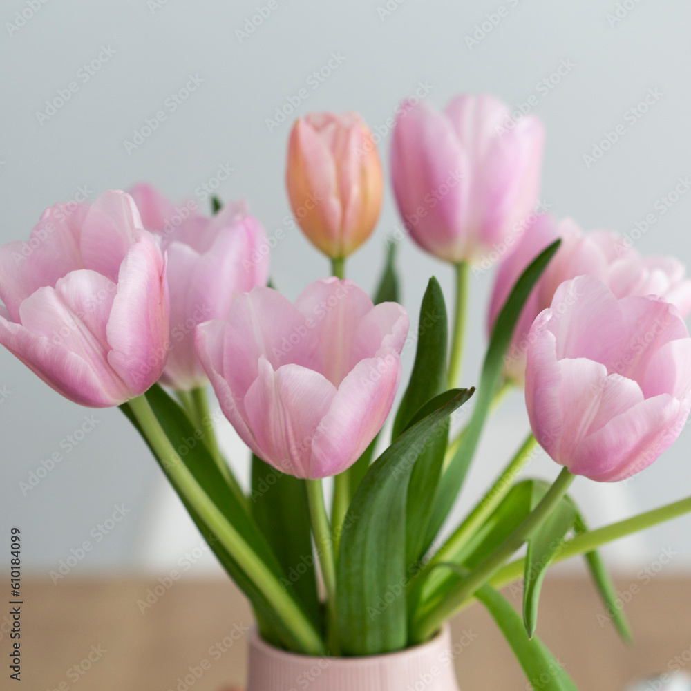 Fototapeta premium Pink tulip bouquet indoor decoration scene on a grey background