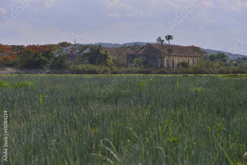 landscape with a lake in the background © Quoc An