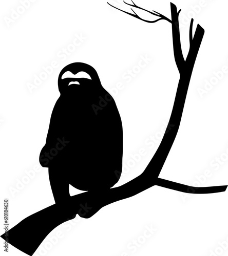 silhuette sloth animal images