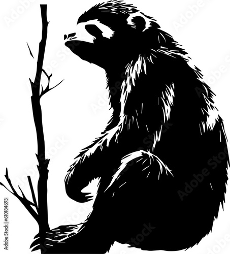 silhuette animal sloth images