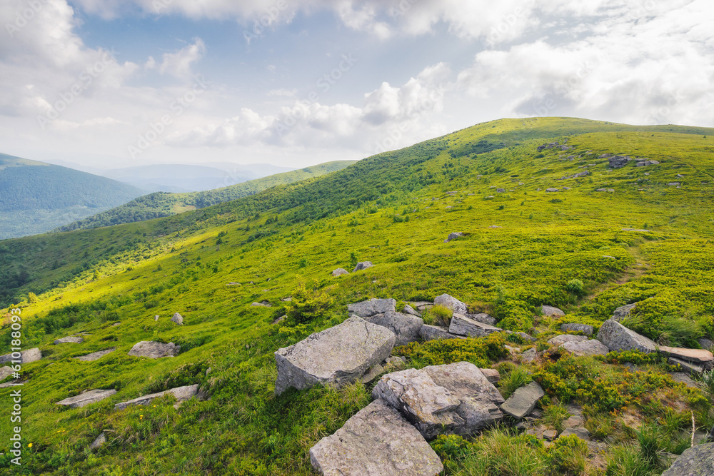 wonderful summer landscape in mountains. grassy meadows and rolling hills. boulders and stones on the hillside. picturesque scene in morning light. ukrainian carpathians countryside scenery wonderful summer landscape in mountains. grassy meadows and rolling hills. boulders and stones on the hillside. picturesque scene in morning light. ukrainian carpathians countryside scenery