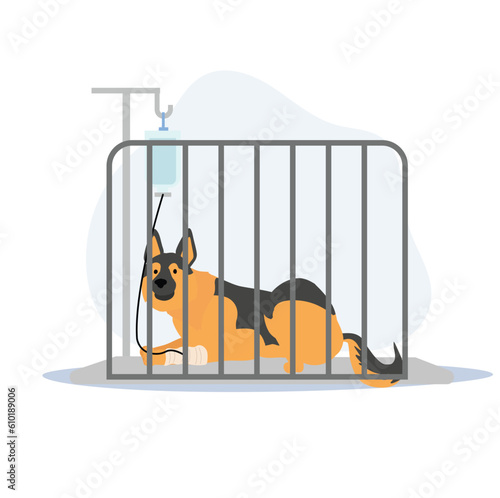 pet and veterinary concept. Sick dog has an Infusion therapy laying in cage. a dog giving a drip . Flat vector cartoon illustration