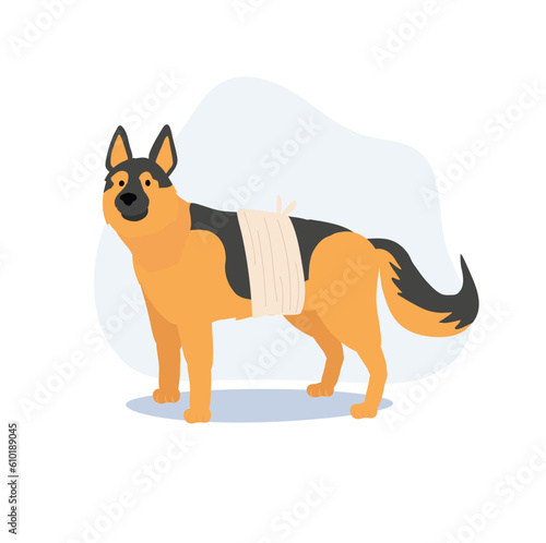 a dog with a bandage. a Dog Get Sick Hurt, Wounded.  Flat vector cartoon illustration