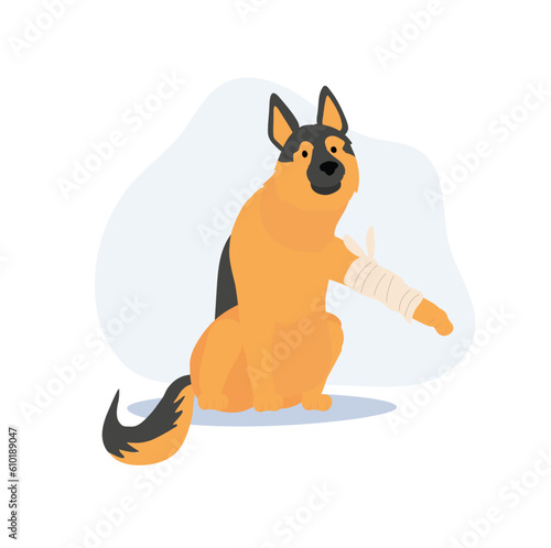a dog with a bandage. a Dog Get Sick Hurt, Wounded.  Flat vector cartoon illustration