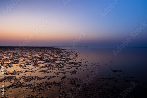 Beautiful after-sunset shot of a lake and muddy shore, captured from a mangrove beach in Umm Al Quwain, United Arab Emirates. photo