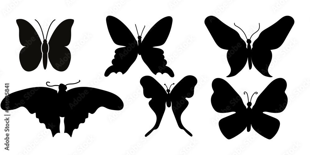 Flower outlines and animal abstract lines are gorgeous artworks! These art forms use simple lines to create stunning beauty. Flower outlines and animal abstract lines are gorgeous artworks! These art forms use simple lines to create stunning beauty.