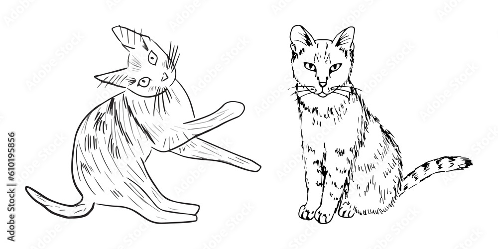 Flower outlines and animal abstract lines are gorgeous artworks! These art forms use simple lines to create stunning beauty. Flower outlines and animal abstract lines are gorgeous artworks! These art forms use simple lines to create stunning beauty.