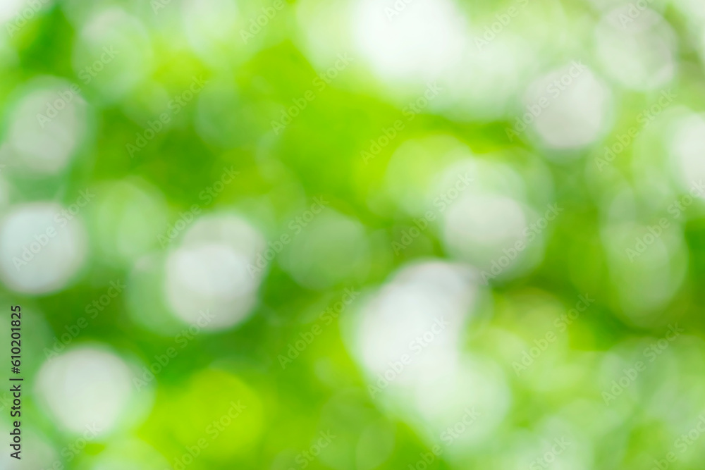 Round bokeh background material in nature full of greenery. Backgrounds such as forests, nature, and the environment, sunlight filtering through trees etc. 緑豊かな自然の中の丸ボケの背景素材。森林、自然、環境、木漏れ日などの背景。 Round bokeh background material in nature full of greenery. Backgrounds such as forests, nature, and the environment, sunlight filtering through trees etc. 緑豊かな自然の中の丸ボケの背景素材。森林、自然、環境、木漏れ日などの背景。