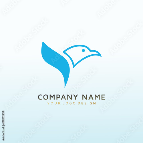 Healthcare consulting sophisticated Peregrine logo design