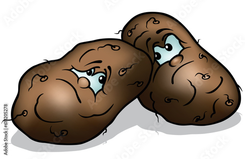 Two Brown Grumpy Potatoes