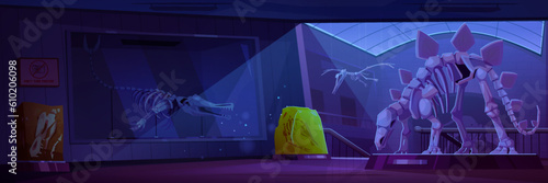 Night museum room with fossil dinosaur skeleton cartoon vector background. Jurassic paleontology exhibit gallery interior of triceratops and pterodactyl skull with bone and moonlight from window